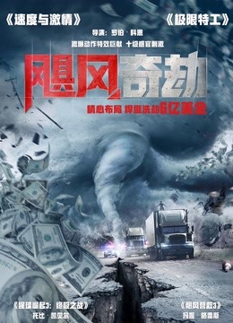 飓风奇劫封面图