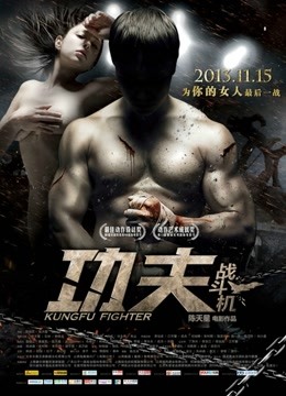 功夫战斗机封面图