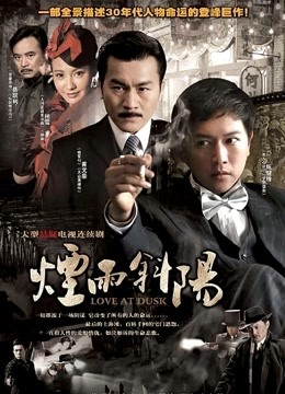 烟雨斜阳封面图