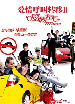 爱情呼叫转移2封面图