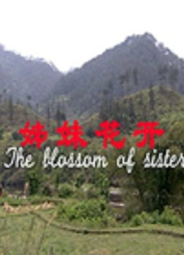 姊妹花开封面图
