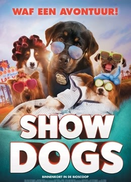 汪星卧底国语版封面图