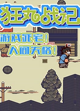 狂丸战记封面图