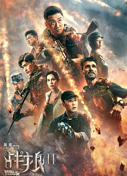 战狼2封面图