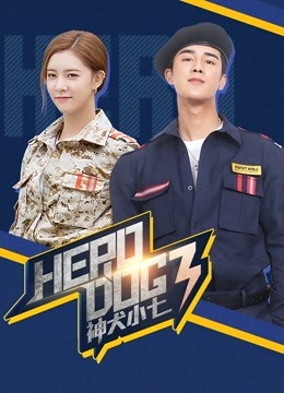 神犬小七3封面图