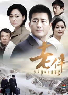 老伴封面图