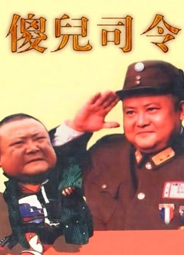 傻儿司令封面图