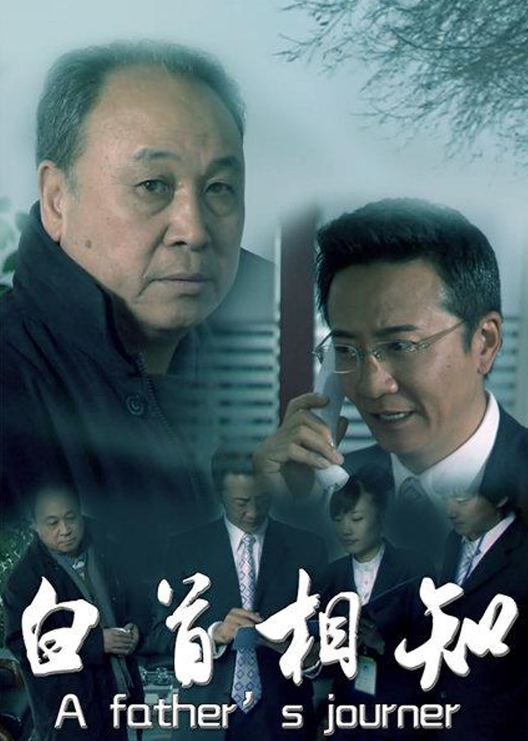 白首相知封面图