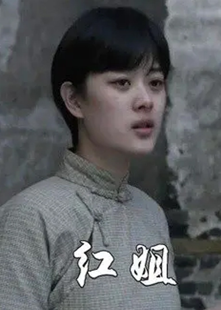 红姐封面图