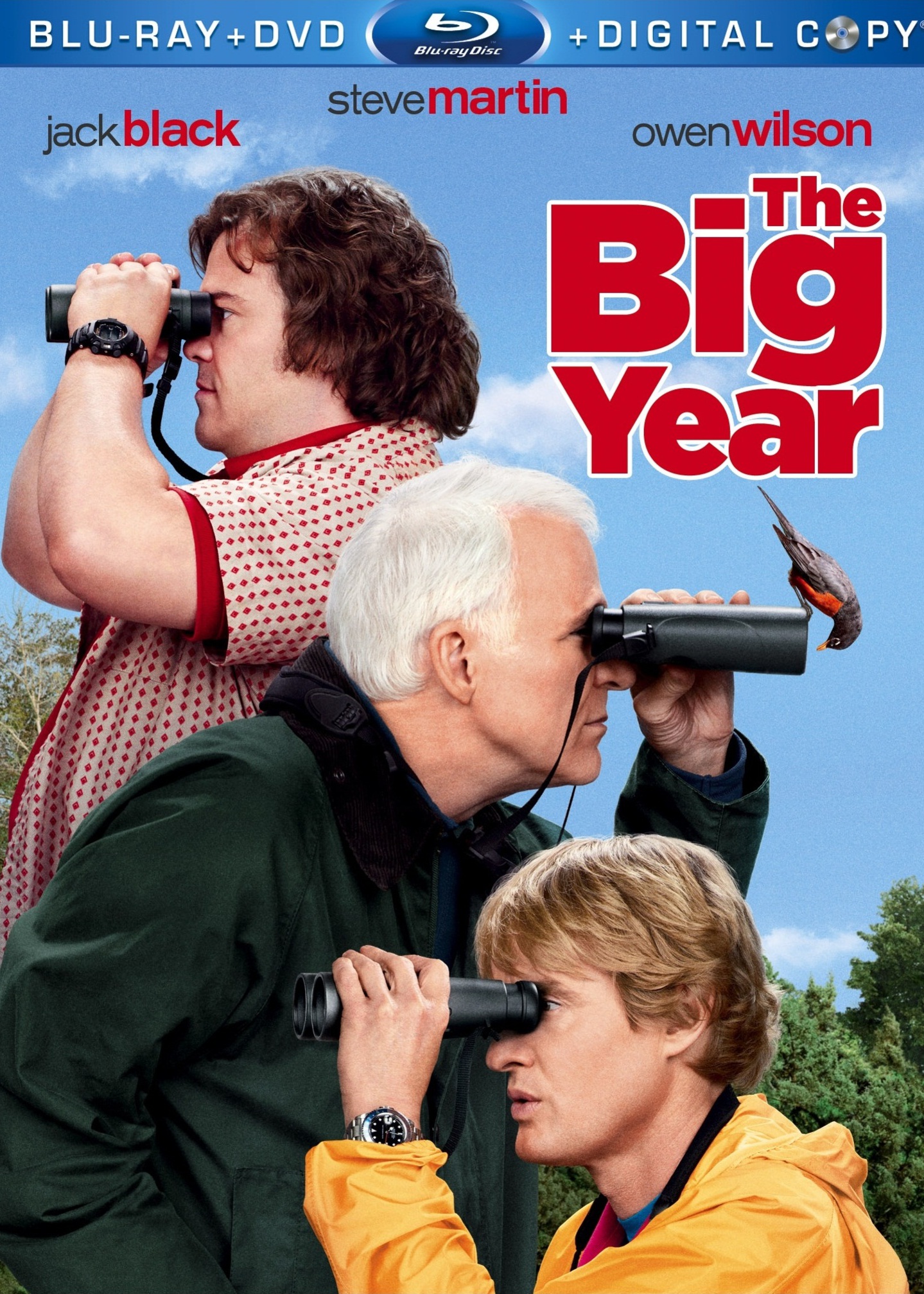 观鸟大年封面图