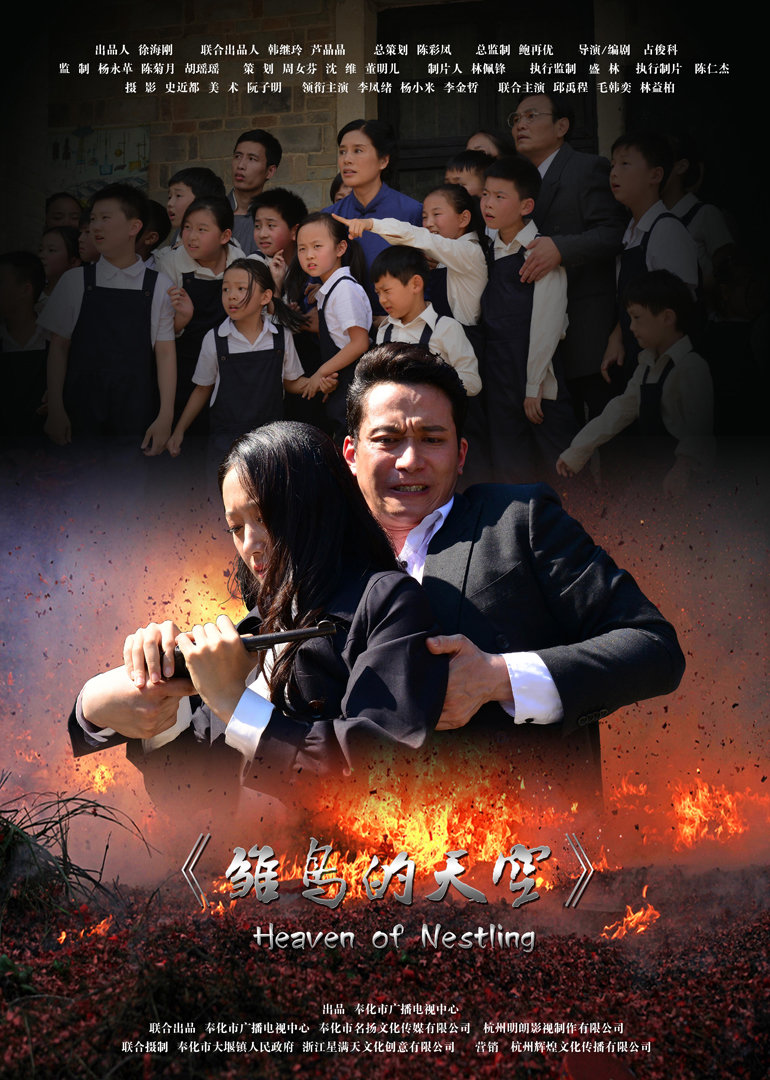 雏鸟的天空封面图