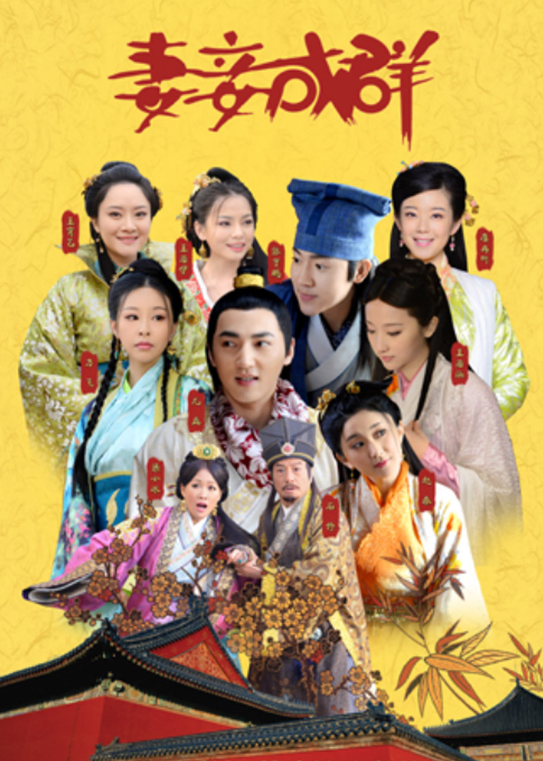 妻妾成群封面图