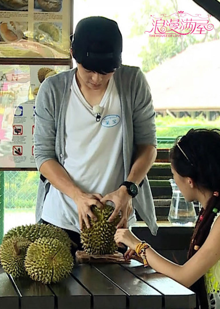 浪漫满屋封面图