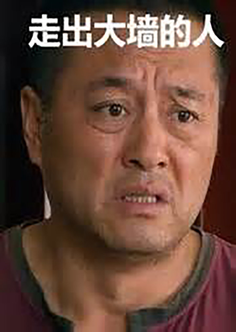 走出大墙的人封面图