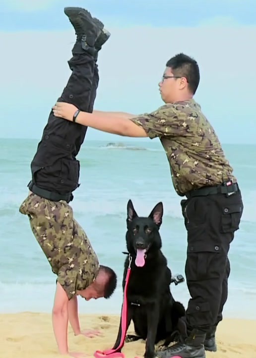 上阵父子兵封面图