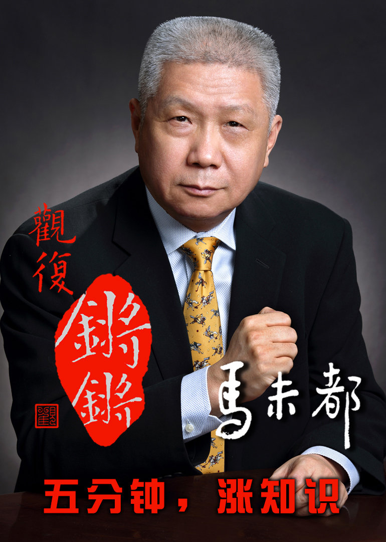 观复锵锵封面图