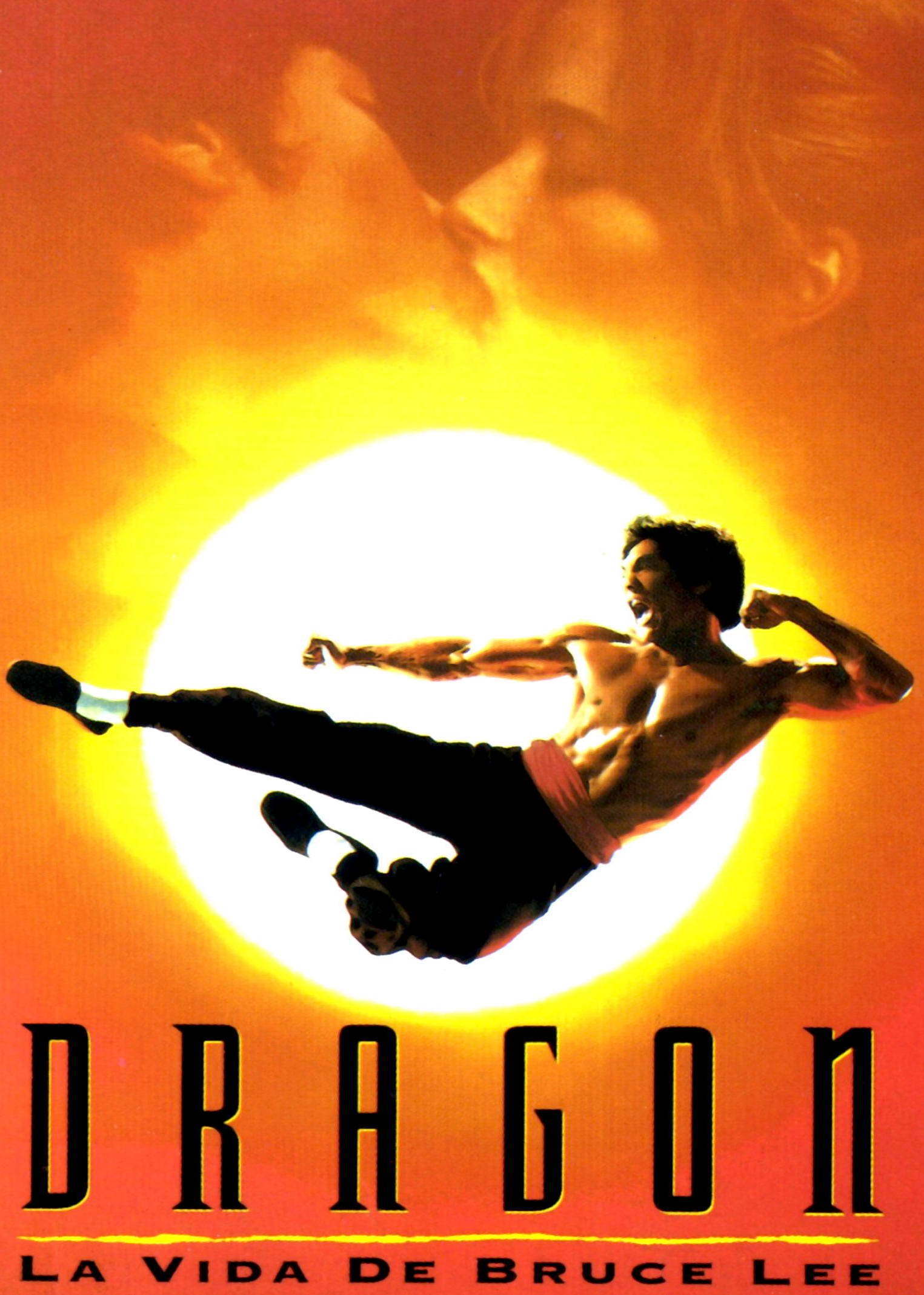 李小龙传奇封面图