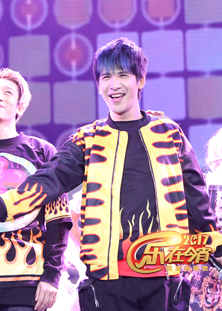 2017鸡年湖北卫视春晚封面图