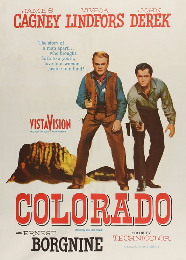 寻求庇护封面图