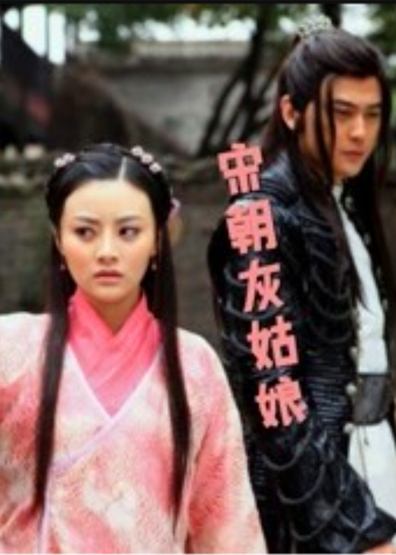 宋朝灰姑娘封面图