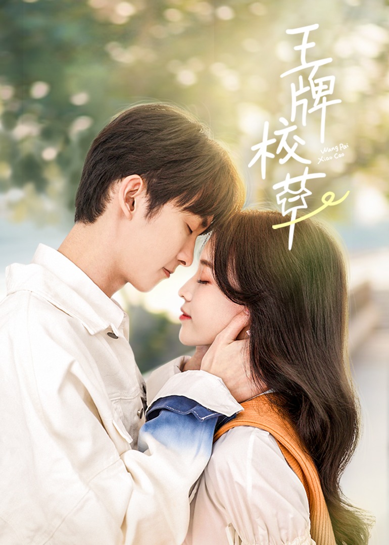 王牌校草封面图