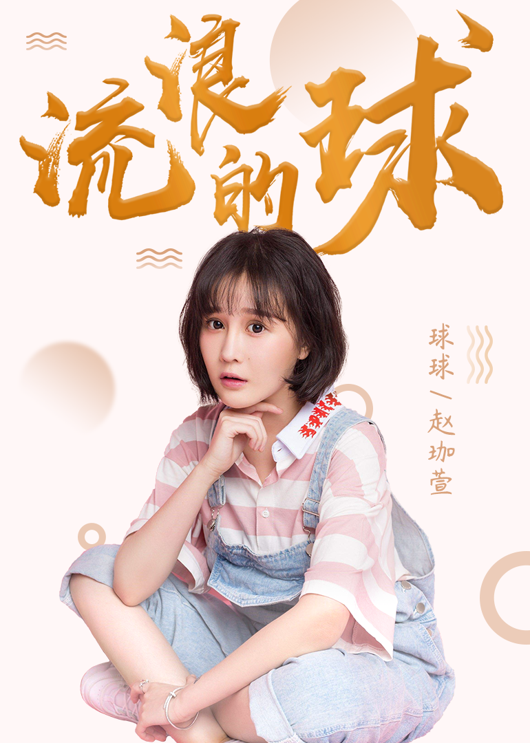 流浪的球封面图