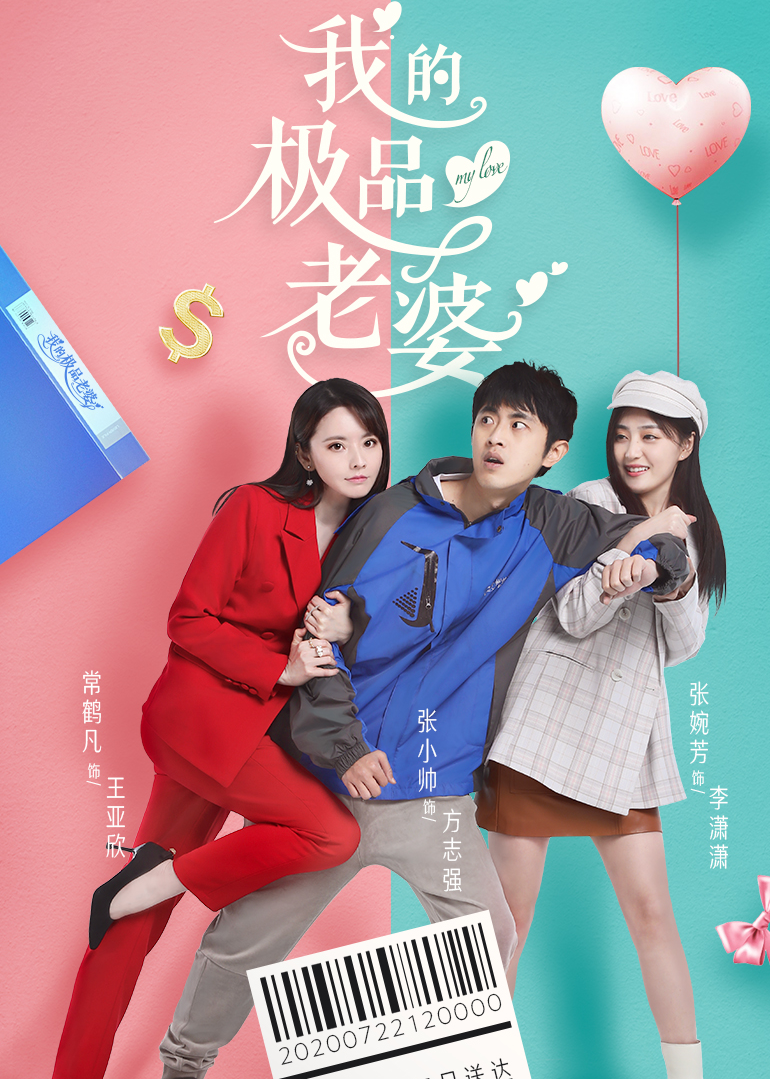 我的极品老婆封面图