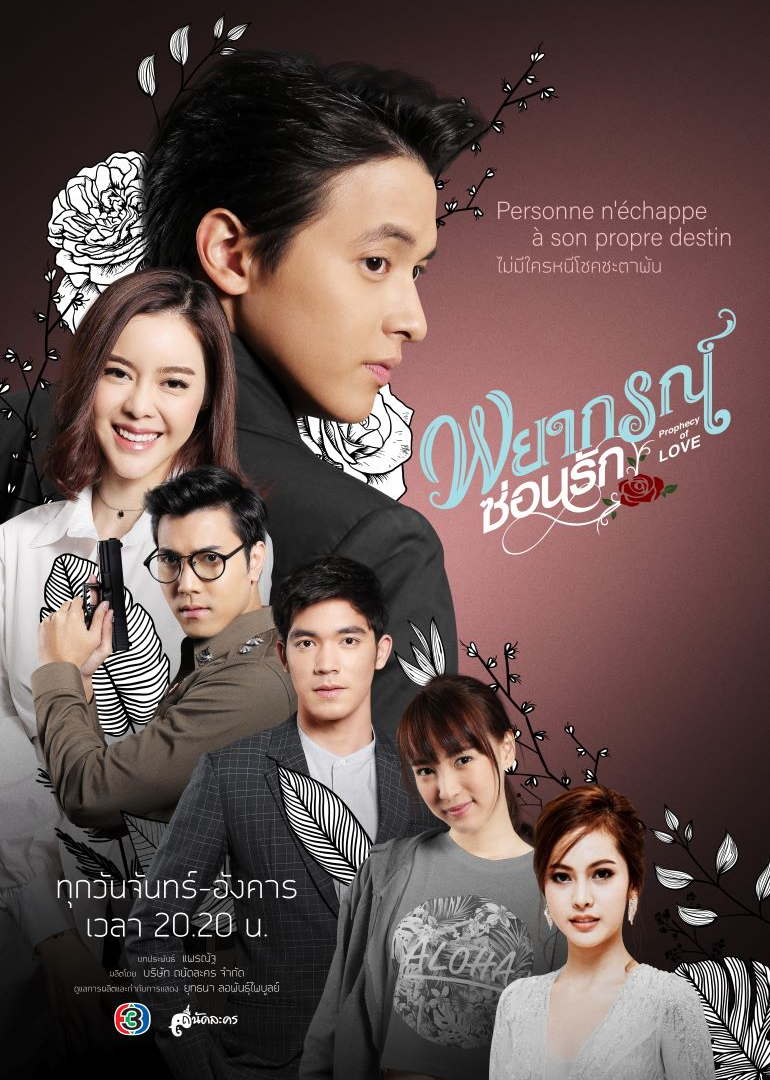 玫瑰奇缘恋与大明星（普通话）封面图