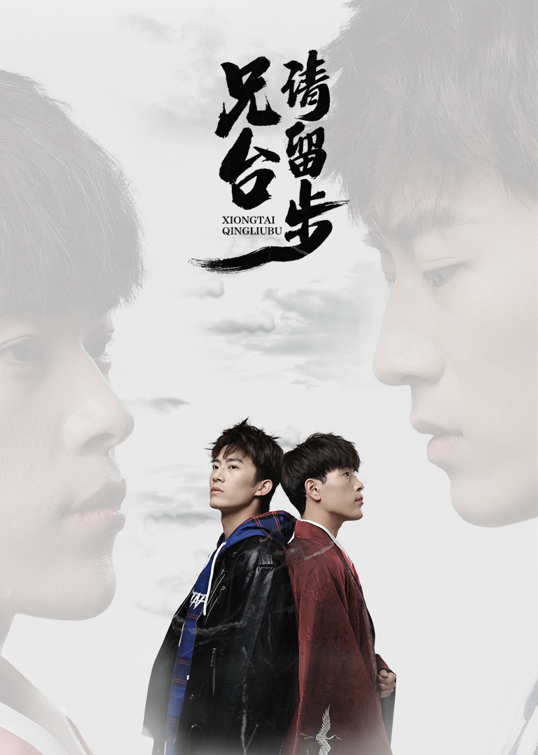 兄台请留步封面图