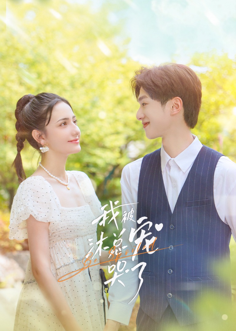 我被沐总宠哭了封面图