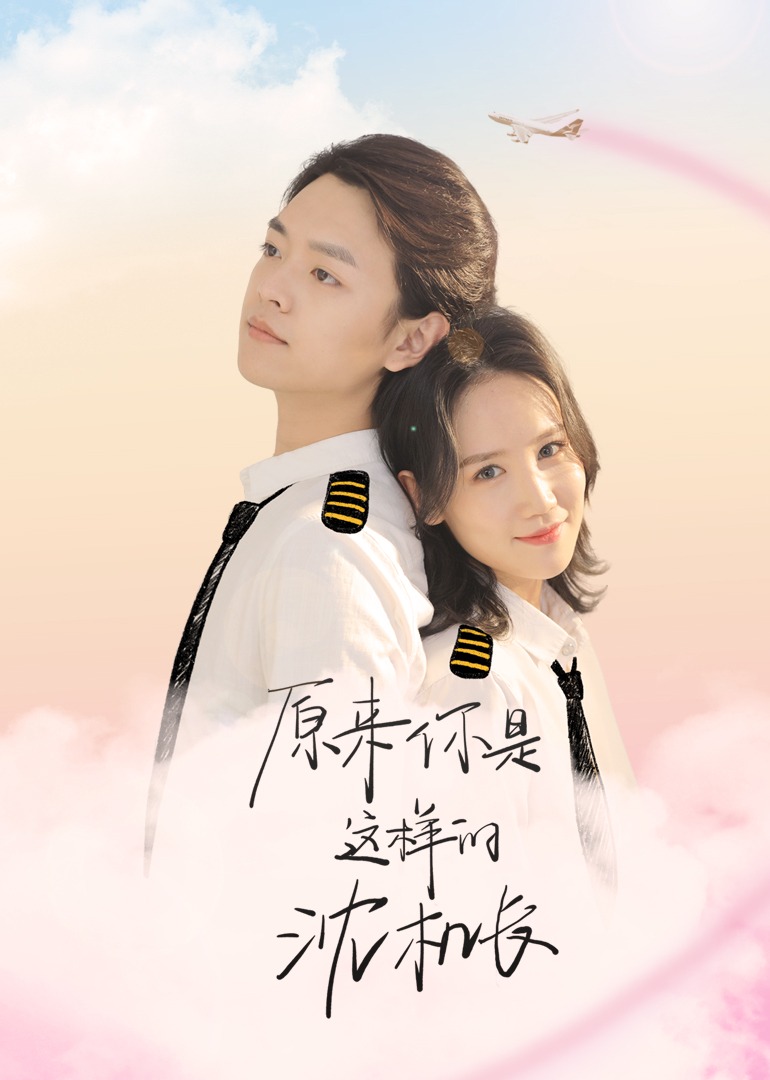 原来你是这样的沈机长封面图