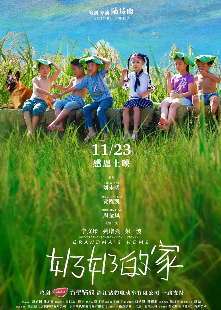 奶奶的家封面图