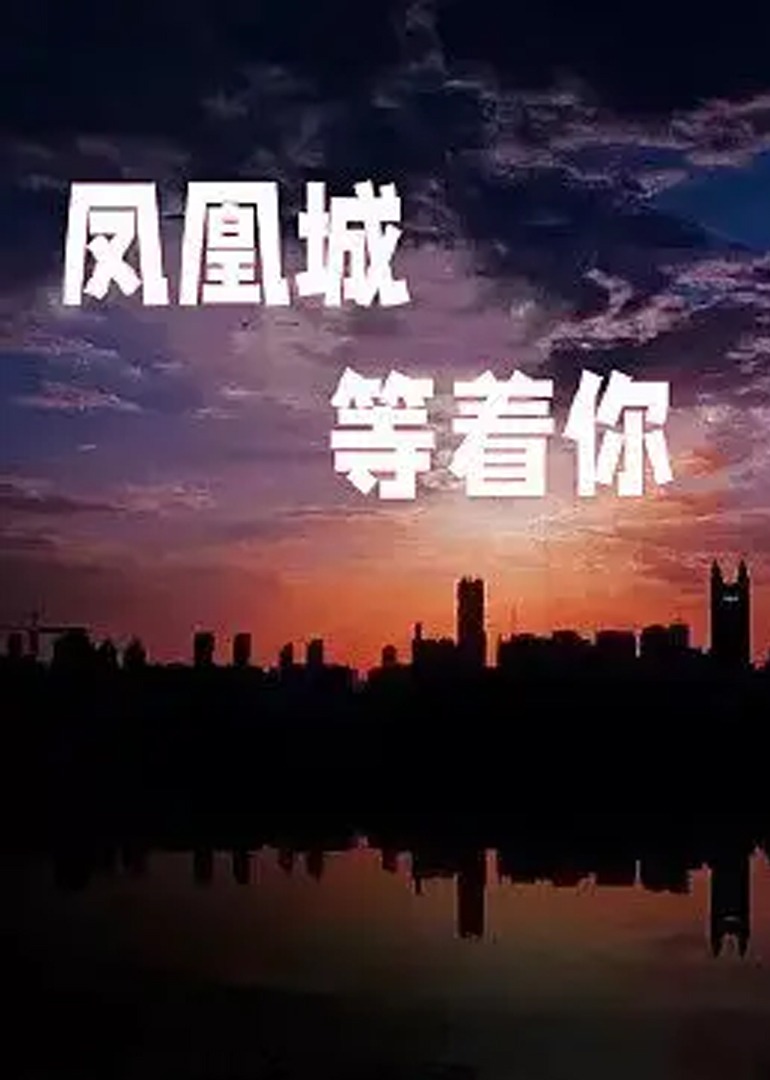 凤凰城等着你封面图