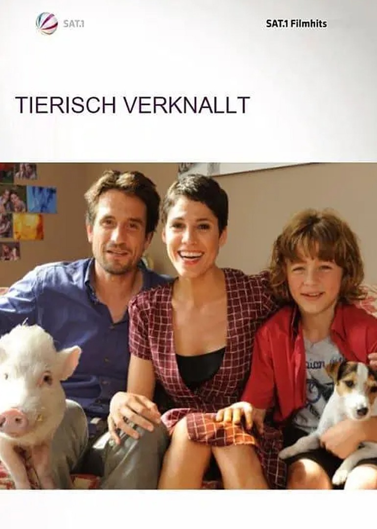 宠物红娘封面图