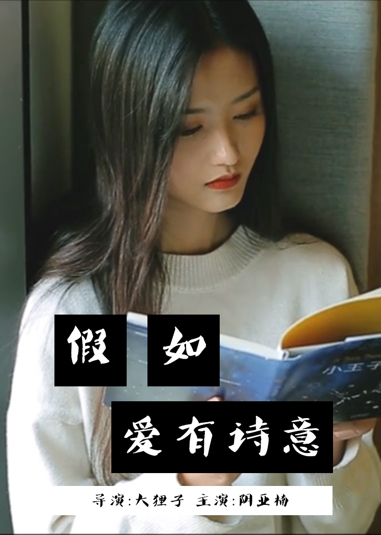 假如爱有诗意封面图