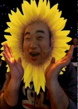 海阳剧乐部封面图