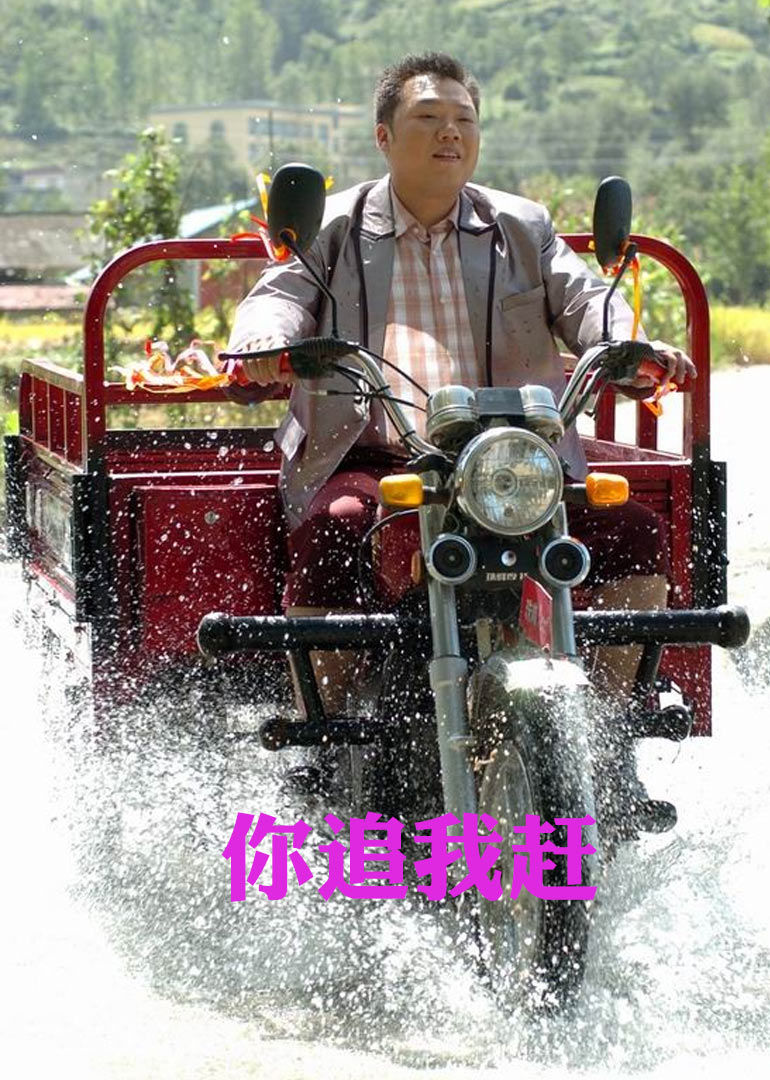 你追我赶封面图