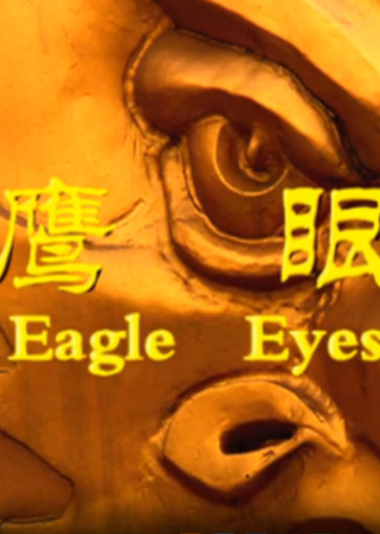 鹰眼封面图