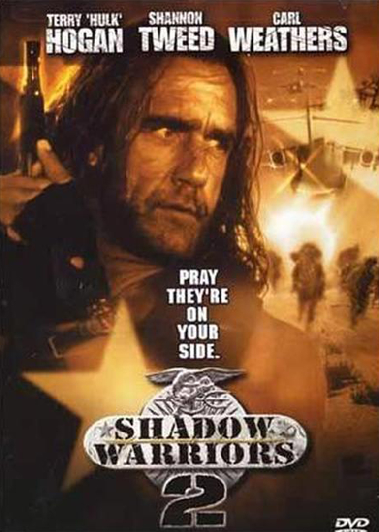 影子勇士 2封面图