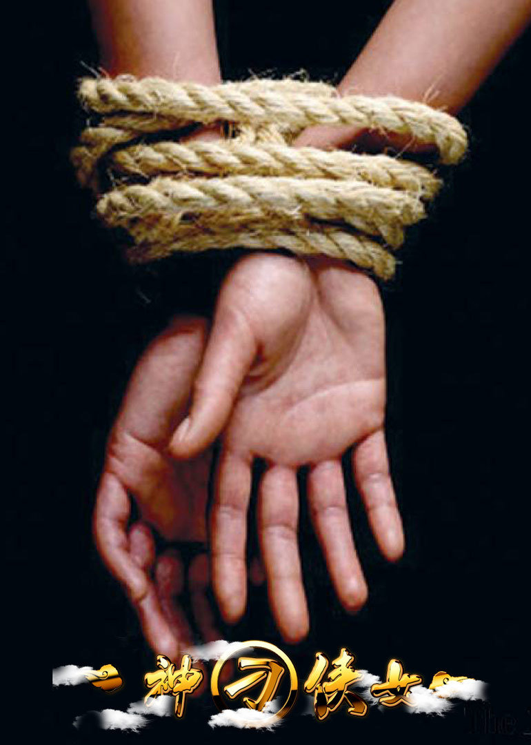 神刁侠女封面图