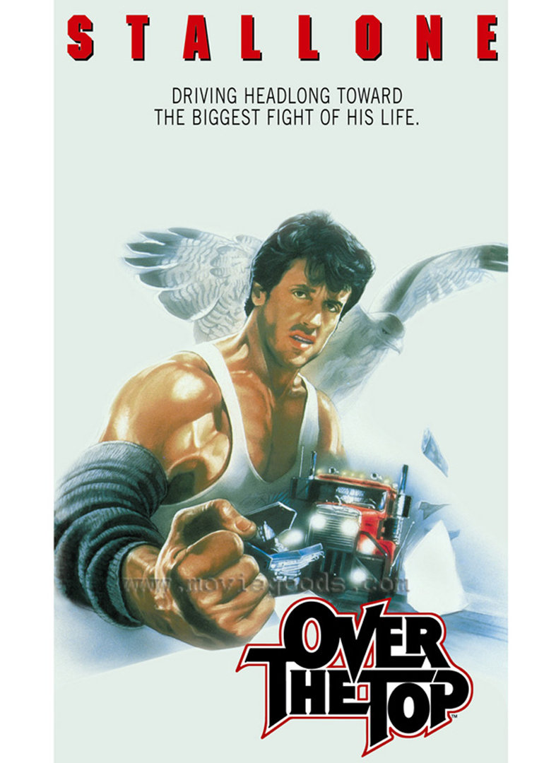 飞越巅峰封面图