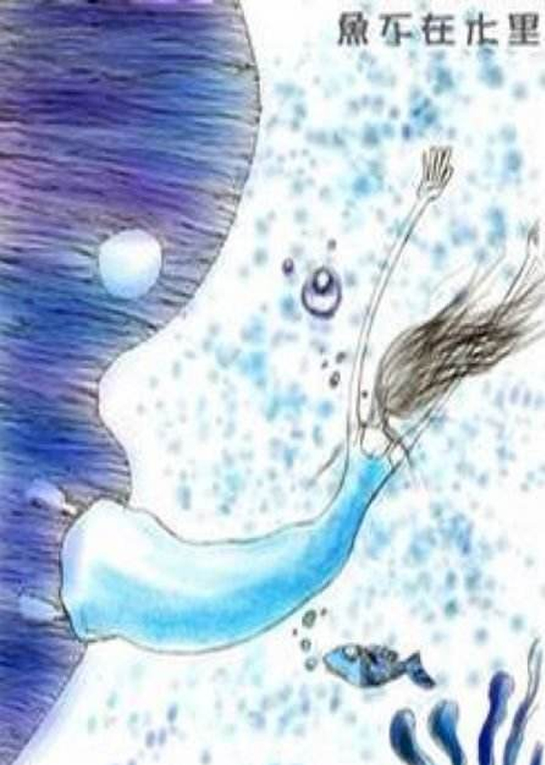 鱼不在水里封面图