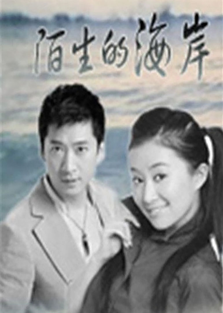 陌生的海岸封面图