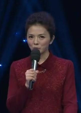 中国灯谜大会封面图