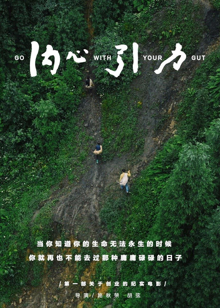 内心引力封面图