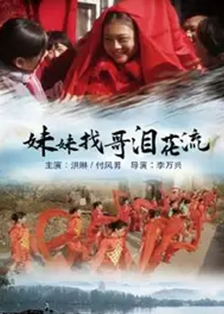 妹妹找哥泪花流封面图